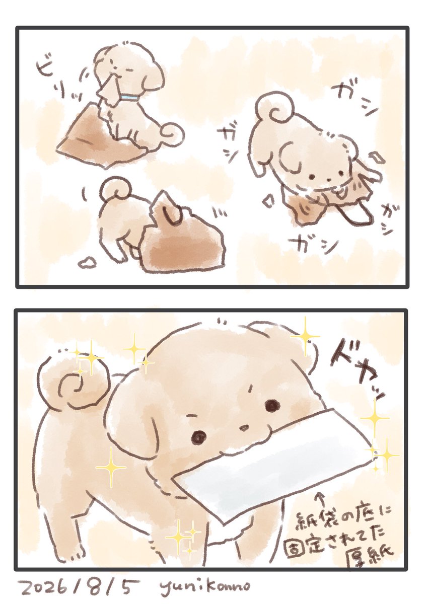 Yuni_Konno's tweet photo. 紙袋でだって遊べるお手軽犬 https://t.co/jYIB6QJq9M