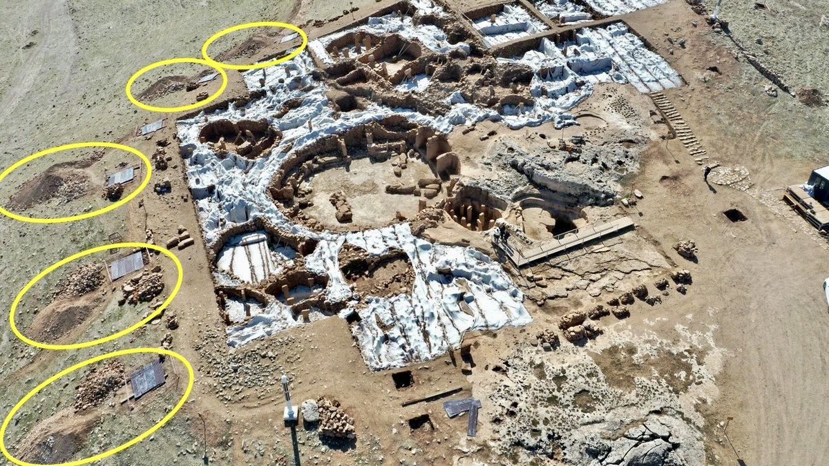 BrightInsight6's tweet photo. Since he’s in Turkey right now, I am calling on Dr. Hugh Thomas @DrHughT to visit Karahan Tepe, and report on the dozen+ holes that were dug in the middle of *unexcavated* ruins at the site!

As you can see in the images below, these holes were dug next to unexcavated T-Pillars (the tops are exposed at the surface), mere steps away from these 20+ft deep pits!

This raises serious concerns as to whether any ruins were damaged in the process of digging them.
Additionally, the approval for the completion of the roof was recently DENIED, and new holes will have to be dug! What exactly was the reason for the permit denial? And why exactly do new holes have to be dug? 🤔

These are important questions, and the public has a right to know.

I should also mention that Dr. Hugh Thomas previously denied that these holes were dug for the support beams that will hold the new roof, claiming they were simply for “excavation”. This was false, as authorities from the Turkish Ministry have publicly confirmed that these holes are for the roof complex.

The reality is that they drilled a dozen+ holes in the middle of an unexcavated field of ~12,000yr old ruins 🤯

Video: @WWolfProd