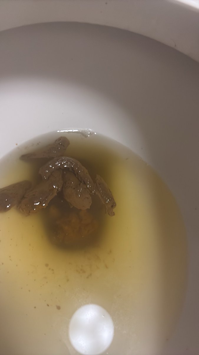 jifflypuff's tweet photo. a small dookie after work (as you can see i cleaned my toilet) https://t.co/3BDXRHM9RY