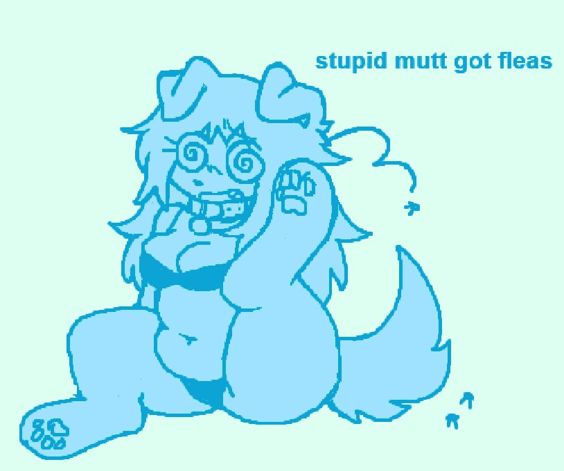 puppiemae's tweet photo. dumb creature https://t.co/hU9VRXXXFg