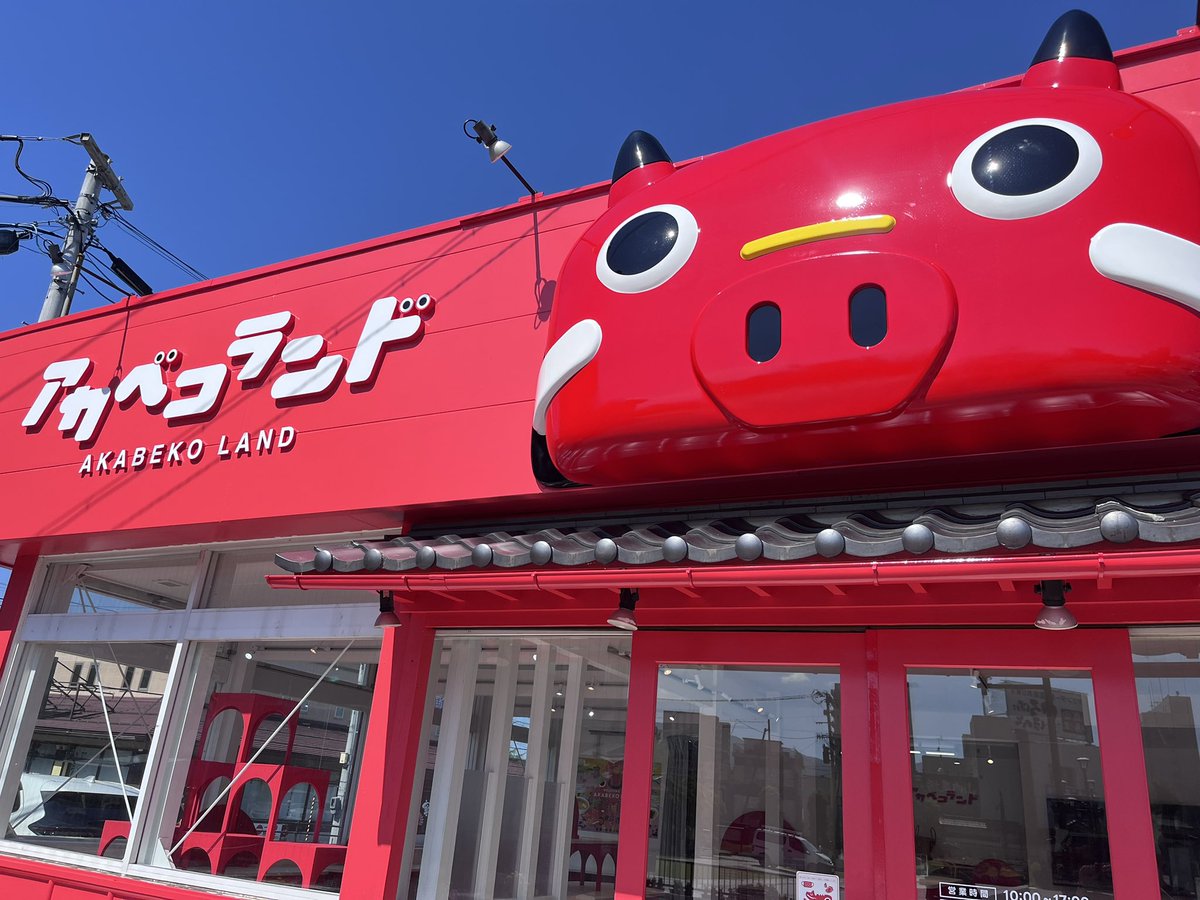 akabeko_land's tweet photo. オープンに向けて準備中。。。 https://t.co/eMRtLZyAt4