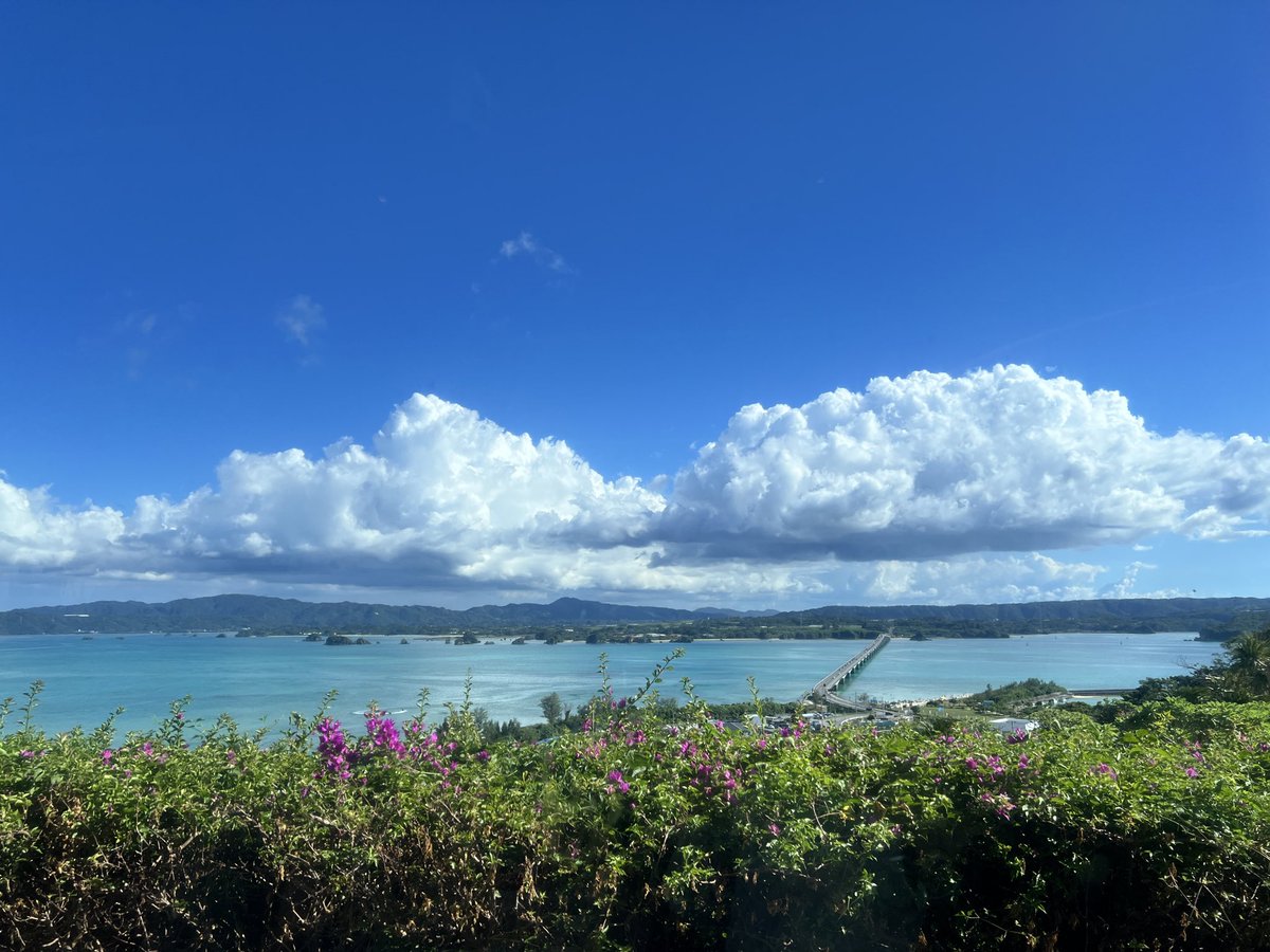 chimochimo_mapy's tweet photo. 沖縄に行ってきました。
古宇利島の橋の左の方で、SUP体験しました😆😆😆
剣道やってるから、オールをこいでも筋肉痛にならない！ https://t.co/ZsSUo8sm1A