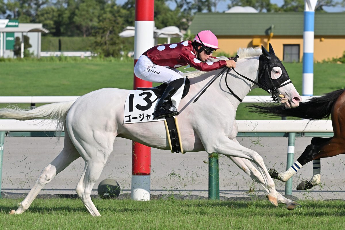LAURELCLUB_INC's tweet photo. 🏇🏇今週の出走馬情報🏇🏇

8月8日(土) 
札幌2R(発走10:30)  2歳未勝利
ルギッドドランジュ　北村 友一

札幌5R(発走12:20)  2歳新馬🔰 
ローレルメビウス　◇古川 奈穂

中京11R(発走18:00) 3歳以上1勝クラス
ゴージャス　J.コレット

新潟12R(発走18:20) 3歳未勝利
ローレルエース　原 優介

今週は土曜日に4頭が出走します‼️
ローレルメビウスはデビュー戦です🔥
応援よろしくお願いいたします🙇‍♂️🙇‍♀️🙇

#新馬 #一口馬主 #一口 #馬主 #ローレル #ローレルクラブ #ルギッドドランジュ #ローレルメビウス #ウィステリアメジロ24 #ゴージャス #ローレルエース @999co_horse #パッショーネ #村上欽哉牧場  @LAURELCLUB_INC
