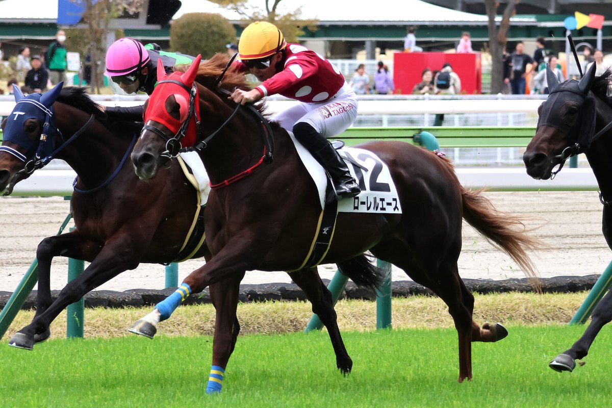 LAURELCLUB_INC's tweet photo. 🏇🏇今週の出走馬情報🏇🏇

8月8日(土) 
札幌2R(発走10:30)  2歳未勝利
ルギッドドランジュ　北村 友一

札幌5R(発走12:20)  2歳新馬🔰 
ローレルメビウス　◇古川 奈穂

中京11R(発走18:00) 3歳以上1勝クラス
ゴージャス　J.コレット

新潟12R(発走18:20) 3歳未勝利
ローレルエース　原 優介

今週は土曜日に4頭が出走します‼️
ローレルメビウスはデビュー戦です🔥
応援よろしくお願いいたします🙇‍♂️🙇‍♀️🙇

#新馬 #一口馬主 #一口 #馬主 #ローレル #ローレルクラブ #ルギッドドランジュ #ローレルメビウス #ウィステリアメジロ24 #ゴージャス #ローレルエース @999co_horse #パッショーネ #村上欽哉牧場  @LAURELCLUB_INC