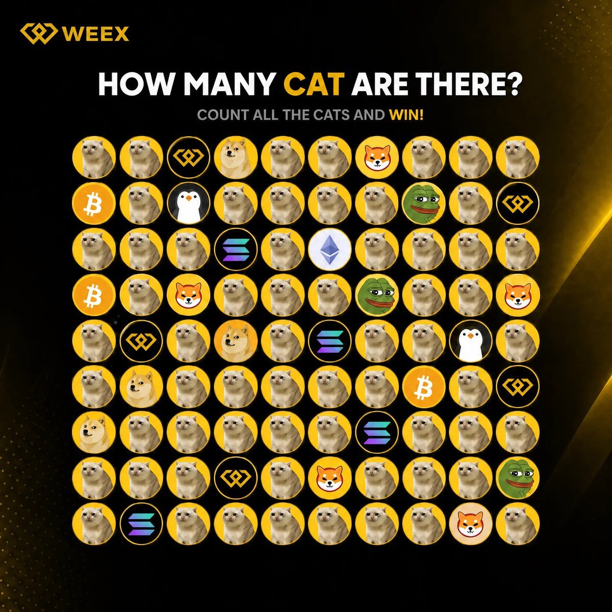 WEEX_Vietnam tweet picture