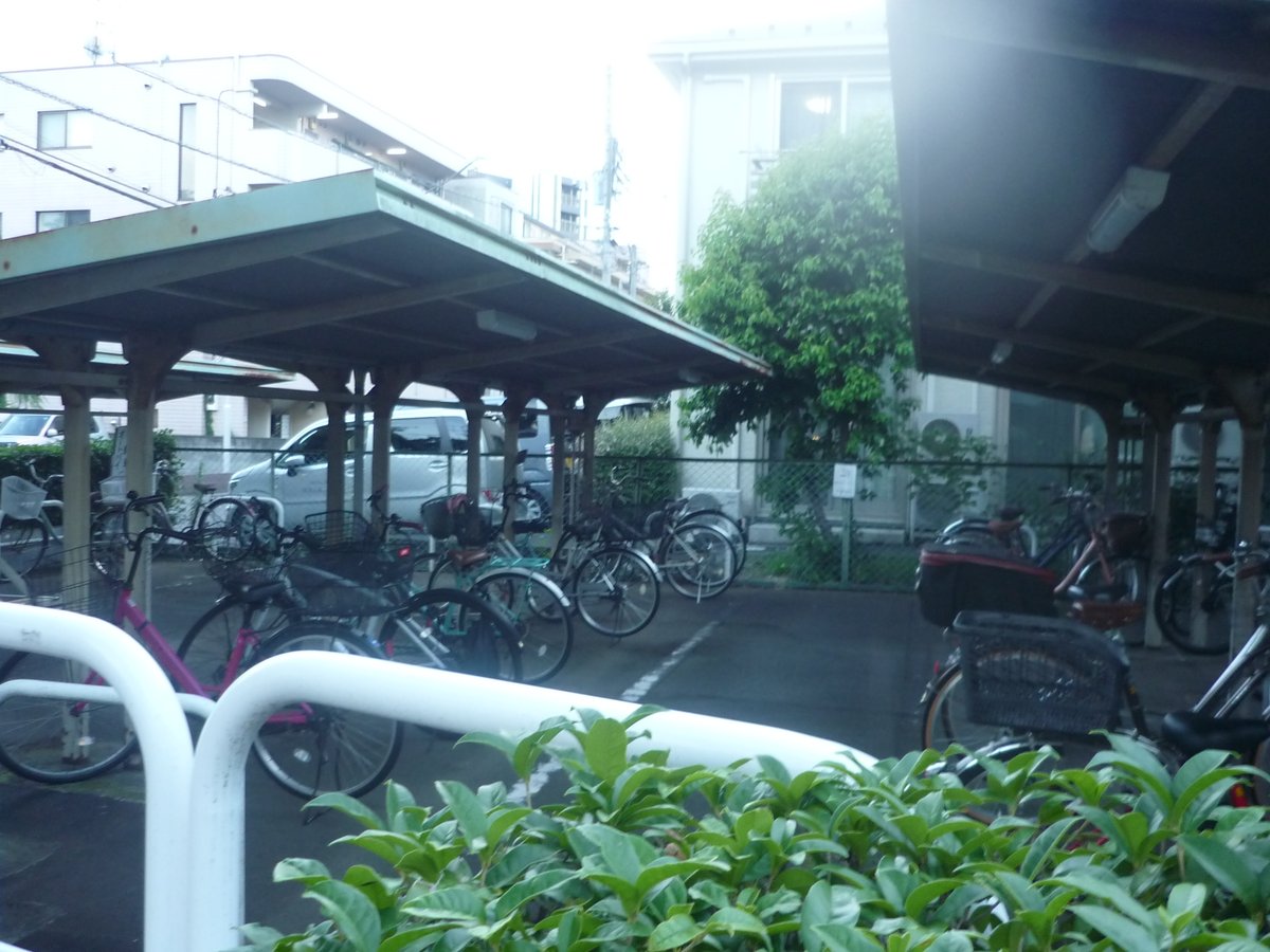 k0b4yasi's tweet photo. 夏休みの高校を思い出す https://t.co/EQagZpoiql