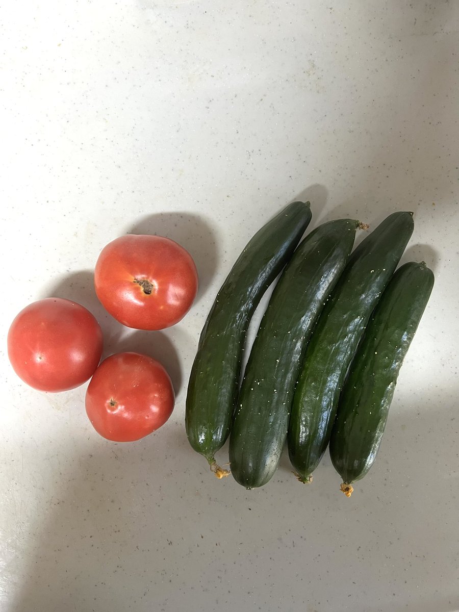 harenew1225's tweet photo. 近所のおじさんたまに野菜くれるんだけど
家庭菜園でいつもおいしい(*´╰╯`๓)♬
きゅうりは自分食べれないから
食べてもらお https://t.co/0rutiOLSx5