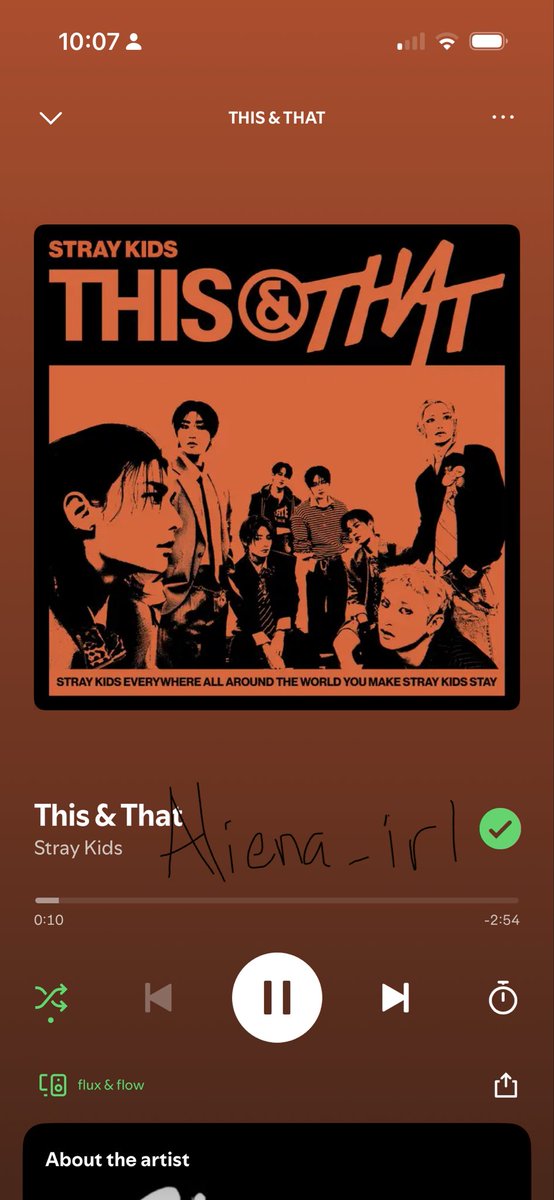 aliena_irl's tweet photo. #StrayKids #스트레이키즈 #THIS_AND_THAT #This_and_That_BurningTime 
 @Stray_Kids https://t.co/R5zlhu5y6j