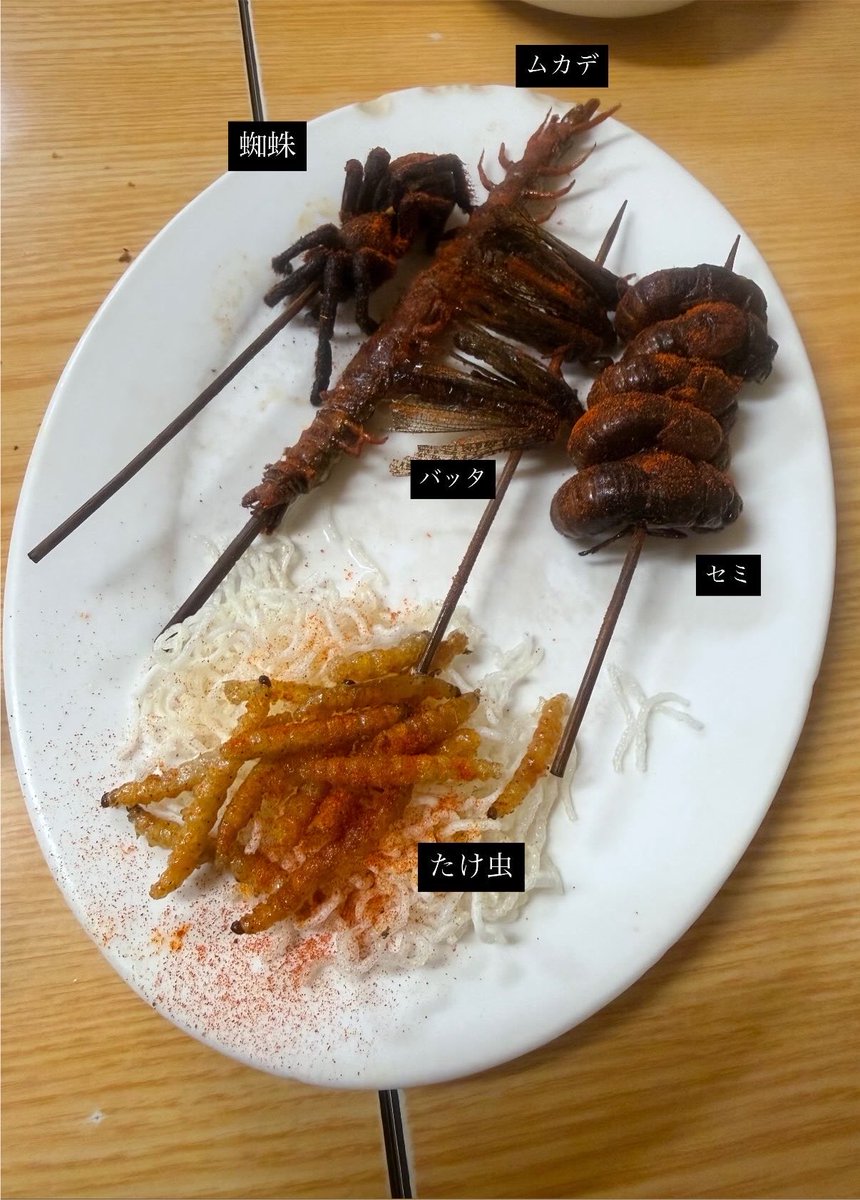 Maya_H__'s tweet photo. 昨日食べた昆虫食🦗🕷🪰🐛

⚠️閲覧注意⚠️ https://t.co/lFkPJcWnOm