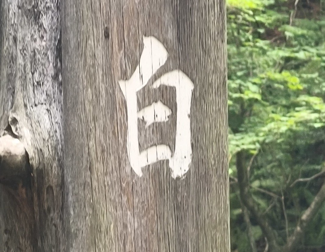 4ngelcide's tweet photo. 白に来てる白 https://t.co/BqTJcR3o6x