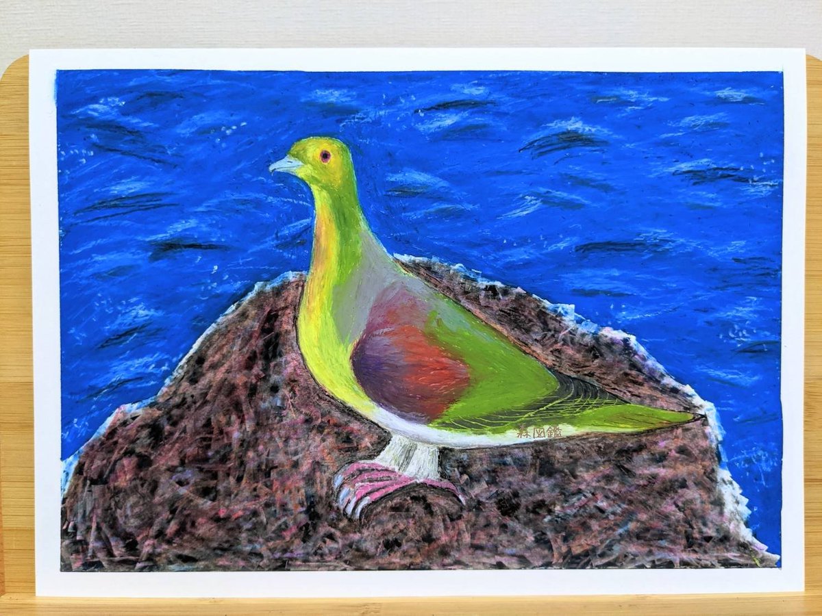 絵画 動物アートクレヨン アオバトをアートクレヨン25色 ブレンダーで