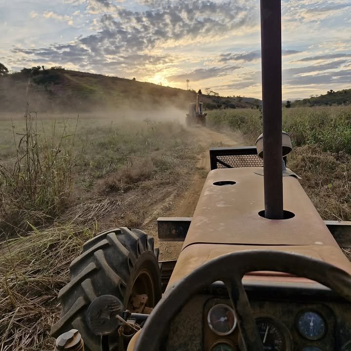 Khamenei68's tweet photo. Morning farm twitter 🌞 https://t.co/ieCu5zltyf