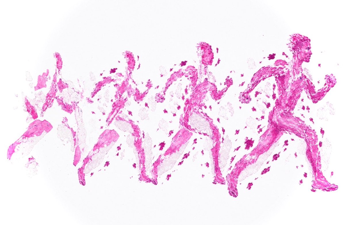 Heddayat's tweet photo. @fouad_boulos #PathArt #Evolution https://t.co/daProLAQ7f