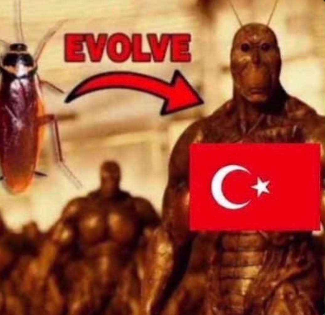 GoyvinLover's tweet photo. @hasanthehun https://t.co/Wwji5zVN3n