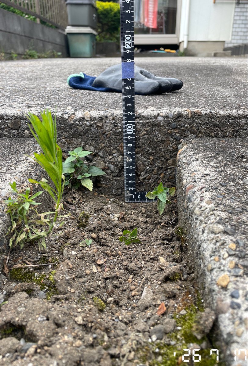AVot3i8's tweet photo. 3cmの段差に歩行器が突っかかる！
置き型スロープも置いとけません！

ってことで私有地と公道の境目まで
モルタルで埋めてやりまし��わ😮‍💨

暑いからすっぐ硬まったー

施工時間:2時間
費用:材工込��3万 https://t.co/990tkPqLLL
