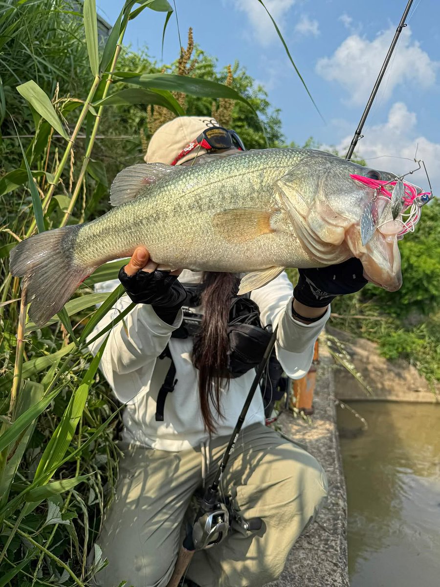 isamizuki's tweet photo. 暑さも忘れるくらい夢中になれる時間🎣
一度バイトを逃しても、もう一度信じて投げ続けた先に嬉しい一本が来てくれました🐟✨
手にした瞬間の重量感と達成感は、何度味わっても最高です🔥
今日も自然の中で素敵な時間を過ごせました🍀

#釣り #釣り好き #釣り女子 #釣り好きな人と繋がりたい https://t.co/MlJ7Rx6a8A
