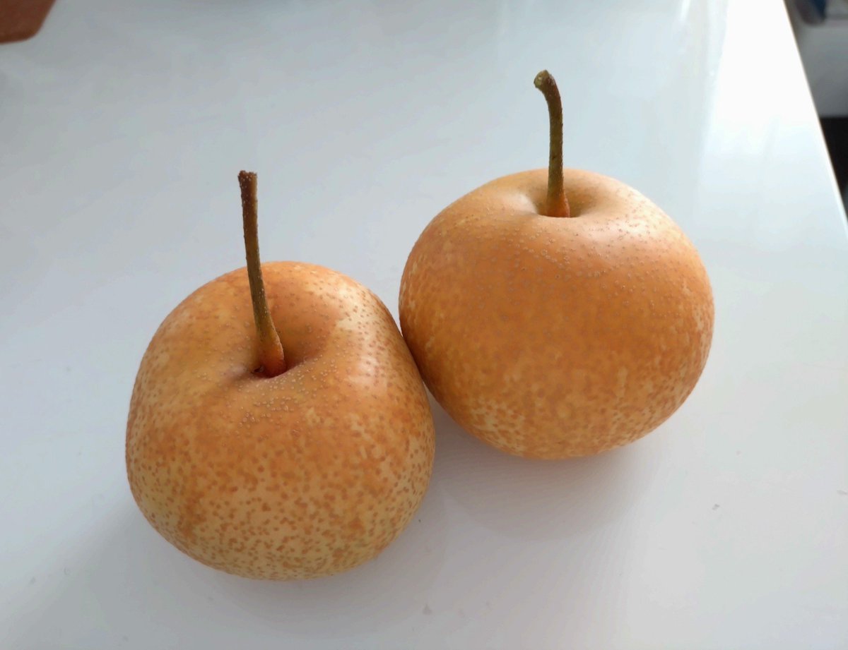 avotane's tweet photo. 幸水🍐
214g と 237g https://t.co/NVybtt23iq