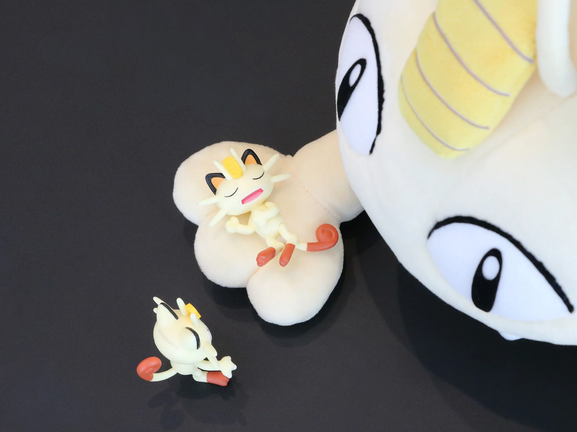 ポケモンだいすきクラブ編集部【公式】 on X: 