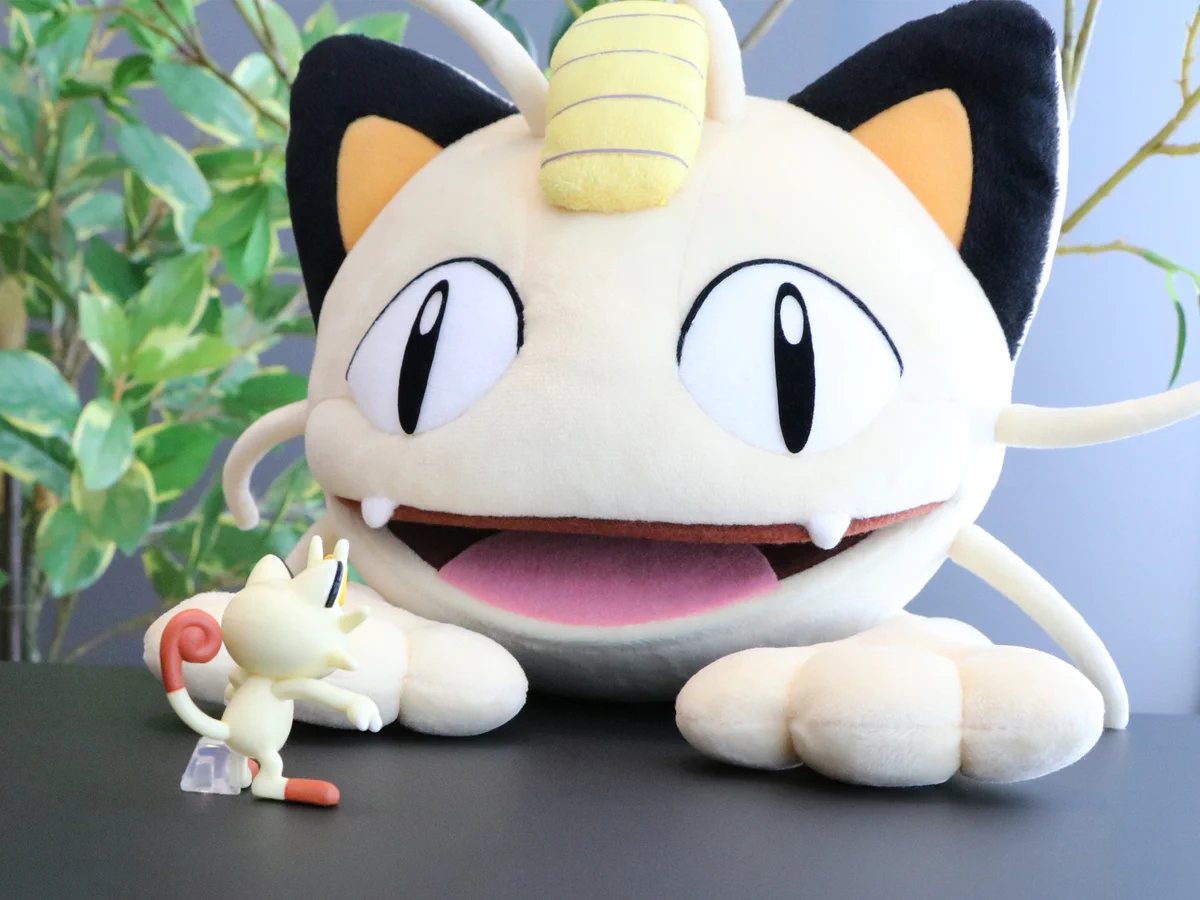 ポケモンだいすきクラブ編集部【公式】 on X: 