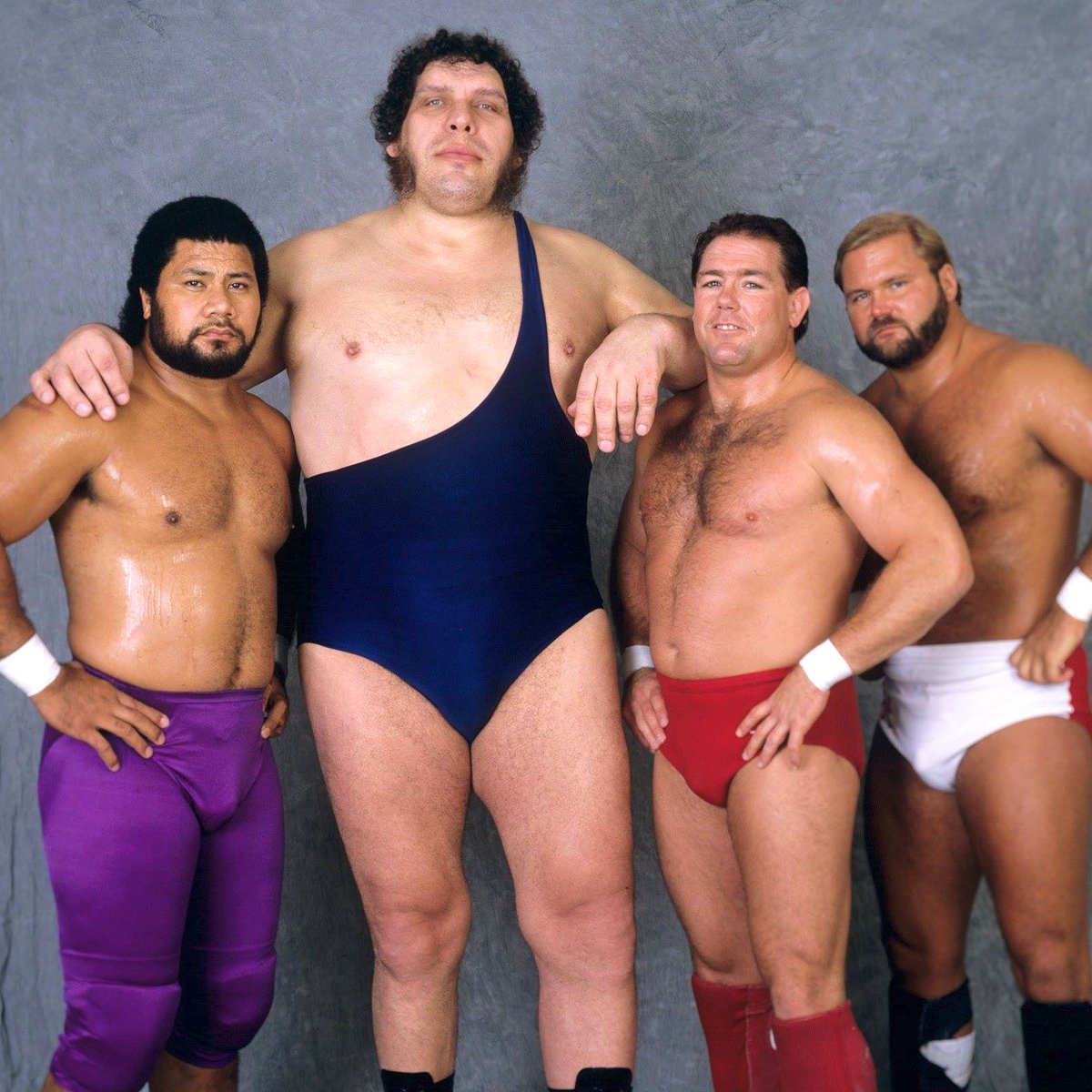 WWFWrestling1's tweet photo. ๐ท WWF studio shot - The Heenan Family! ๐ธ Photo from 1989. #WWF #WWE #SurvivorSeries #Haku #AndreTheGiant #TullyBlanchard #ArnAnderson https://t.co/Nx6MgeuLPA