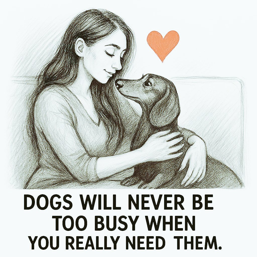 BobDavida330's tweet photo. Every wagging tail brings another smile and another reason to be grateful 🐾💖 Hit subscribe and follow our adventures 
https://t.co/odmmGpHzSy https://t.co/qo3di9bsml