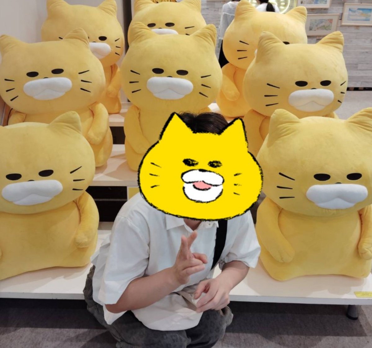 BossMacco's tweet photo. アラフィフ夫婦の推し活ですねん
ご覧下さい https://t.co/gB8saTeLJJ