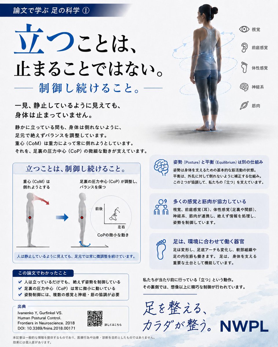 NWPL_Japan's tweet photo. 【論文で学ぶ 足の科学 #01】
立つことは、止まることではない。

私たちは、「立つ」という動作を、
止まっている状態だと思いがちです。

しかし、一見静止しているように見えても、
身体は倒れないように、足元で絶えずバランスを制御し続けています。

視覚、前庭感覚、体性感覚、神経、筋肉。

これらが瞬時に連携しながら、
私たちは「立つ」という当たり前の動作を支えています。

つまり、立つことは、
「静止」ではなく、「制御」の連続。

私たちが何気なく行っている日常動作の裏側には、
想像以上に精巧な身体の仕組みがあります。

足を整える、カラダが整う。

──────────

📖 研究デザイン

レビュー論文
（これまでに発表された研究を整理・解説し、現在の知見をまとめた論文）

📚 Reference

Ivanenko Y, Gurfinkel VS.
Human Postural Control.
Frontiers in Neuroscience. 2018.
DOI: 10.3389/fnins.2018.00171

──────────

※本投稿は査読付き論文の内容を一般向けに要約・解説したものです。

特定の製品の効果や疾病の診断・治療・予防を示すものではありません。

論文で示された知見をもとに作成しています。

#足を整えるカラダが整う
#アメリカ足病医学
#ファンクショナルインソール
#NWPL（Northwest Podiatric Laboratory）
#足ナビ