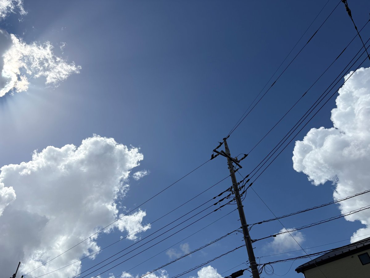 kindaisales's tweet photo. おはようございます！
本日、作業のため東京都町田市の発送センターに来ています。
昨日とうってかわって暑いですね…💦バス停から向かう道中、この前買った日傘🌂が活躍しました！初めての日傘、ここまで快適だったとは…笑
（ごま塩）

#企業公式が毎朝地元の天気を言い合う
#企業公式相互フォロー https://t.co/FhfPs3LwQ7