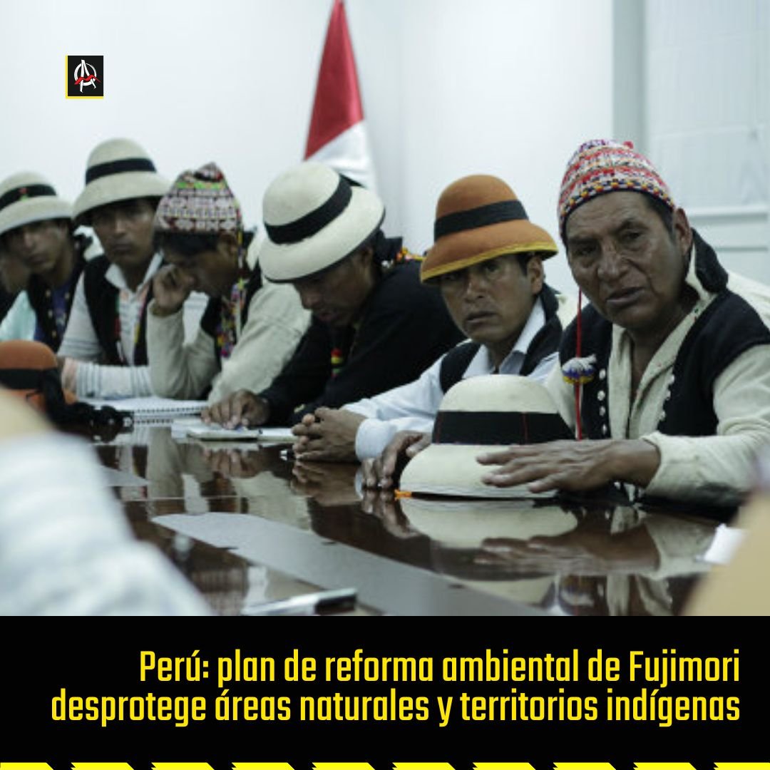 Avispa_Midia's tweet photo. Perú: Plan de reforma ambiental de Fujimori considera la regulación ambiental un obstáculo para el desarrollo de proyectos de inversión

Nota completa
👉 https://t.co/mdu7kElQzj 🐝

#Perú #Fujimori #CrisisAmbiental https://t.co/2h4xklMXns