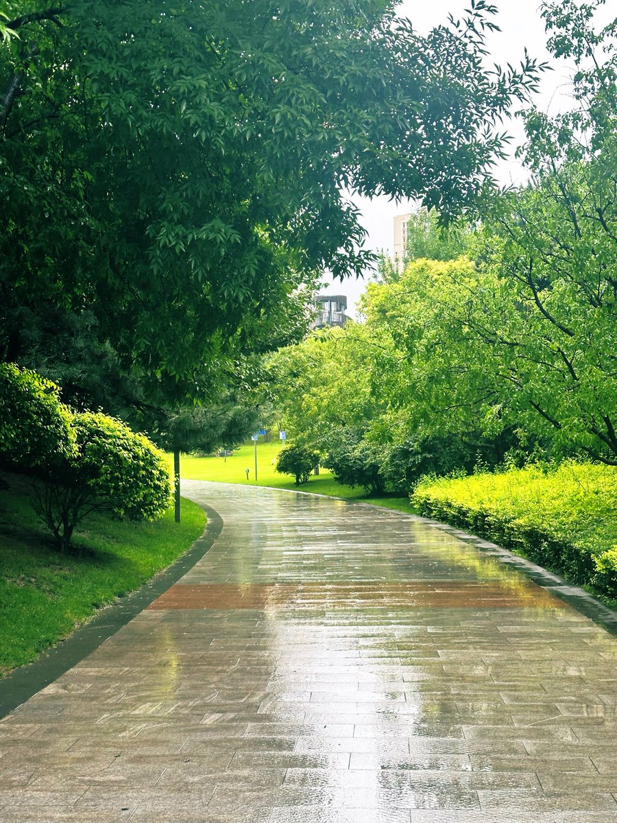 david_andrew123's tweet photo. The park is incredibly quiet on rainy days 🌧️. All the usual hustle and bustle fades away, leaving you surrounded only by tranquility and the damp fresh air.
#RainyDay #CityPark #QuietMoment https://t.co/y08jZQ2Dmq