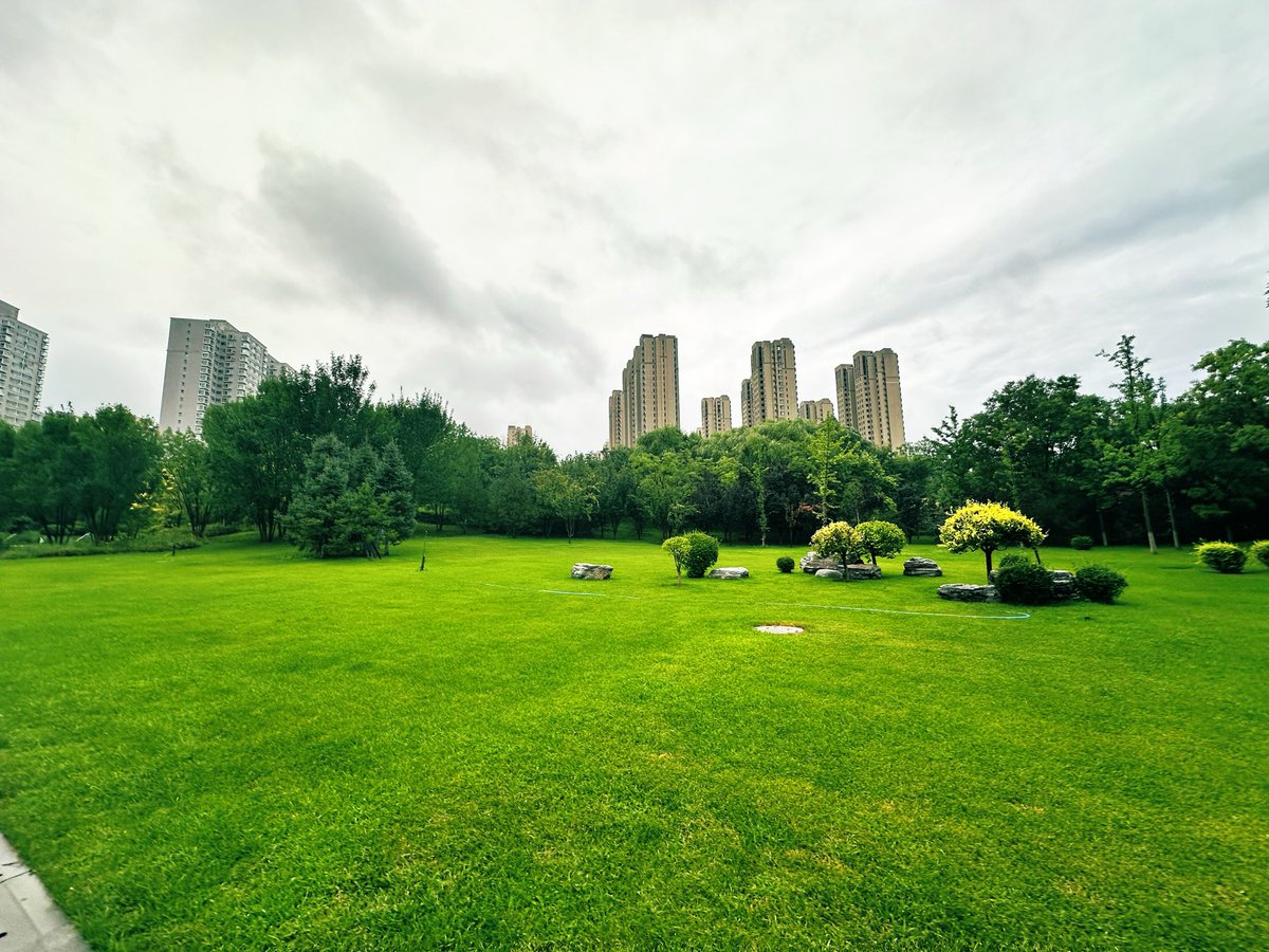 david_andrew123's tweet photo. The park is incredibly quiet on rainy days 🌧️. All the usual hustle and bustle fades away, leaving you surrounded only by tranquility and the damp fresh air.
#RainyDay #CityPark #QuietMoment https://t.co/y08jZQ2Dmq