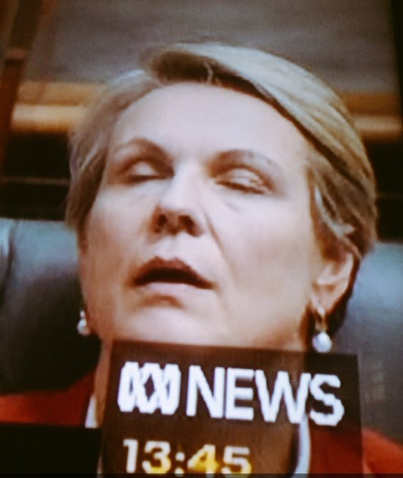 Glenn02936110's tweet photo. "Deputy Prime Minister Richard Marles says "it's just not right" cabinet was divided on the Tony Burke's proposed measures to cut migration"

BS half wanted to increase migration for more fake votes and the other half were carefully considering the proposal like Plibersek here. https://t.co/hlKMHwjrfv