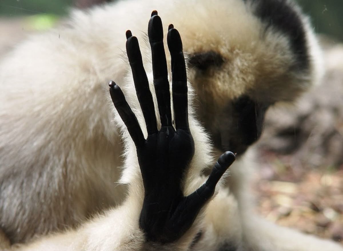moonsong111's tweet photo. talk to the hand because the face ain't listening https://t.co/7rdSnZ0oFZ