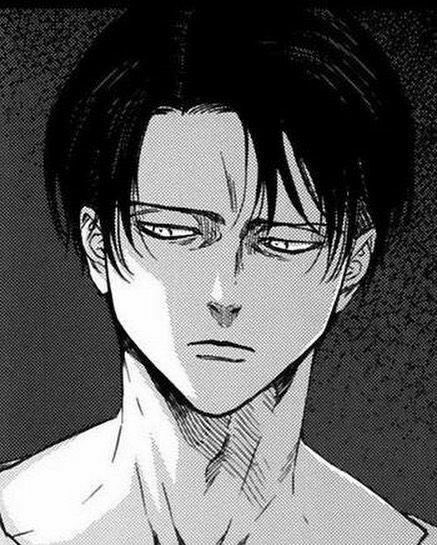 hiphip_urgay's tweet photo. CLOSE ENOUGH. 
WELCOME BACK LEVI ACKERMAN https://t.co/g2jlF9udWi