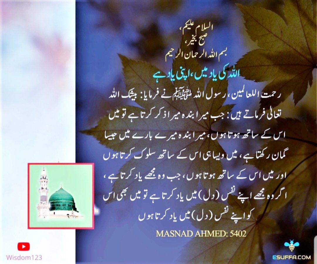 Pak_4_ever's tweet photo. ❤️ السلام علیکم 💚 https://t.co/fdWkuyWUnV