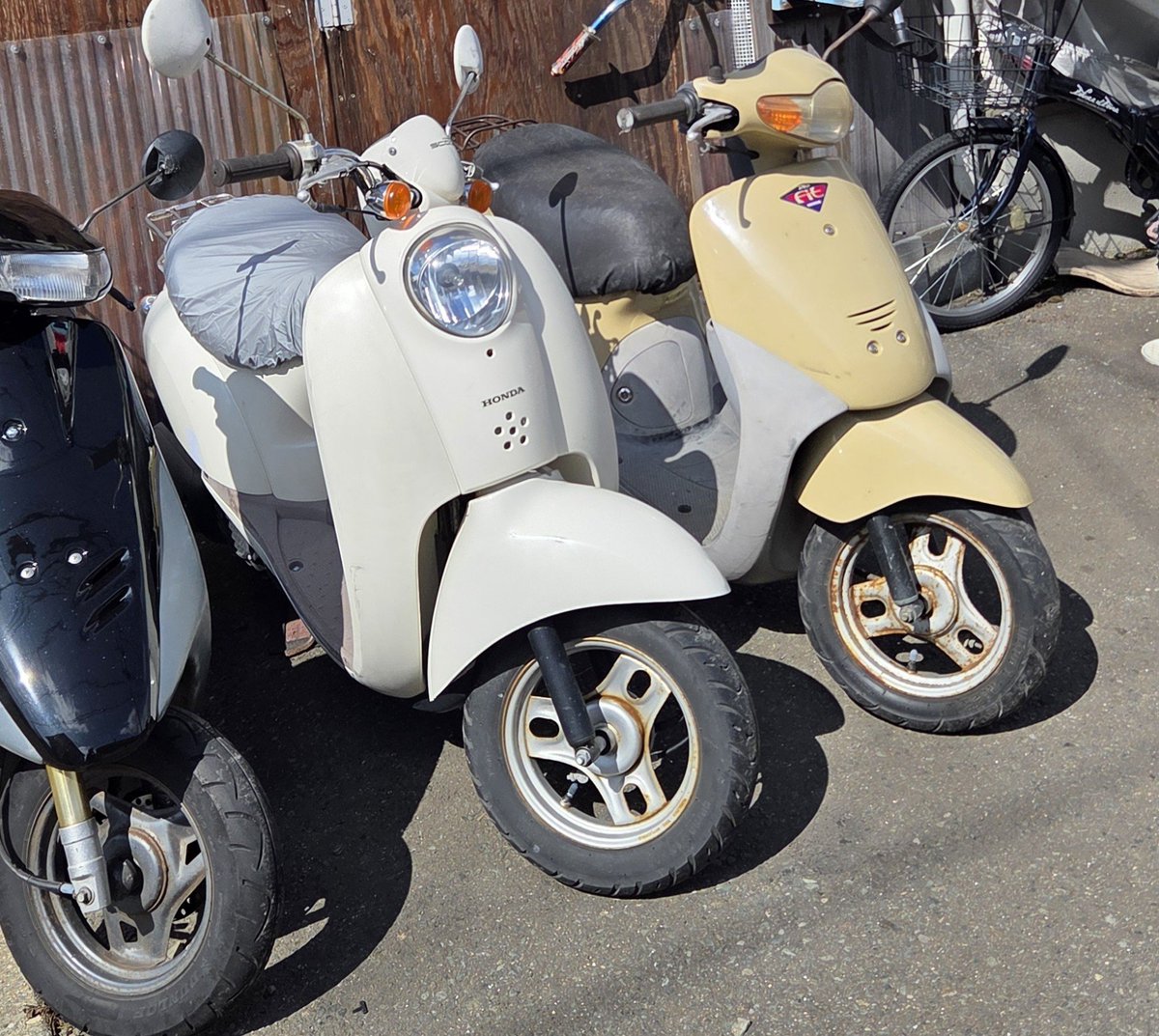 2stroke50cc tweet picture