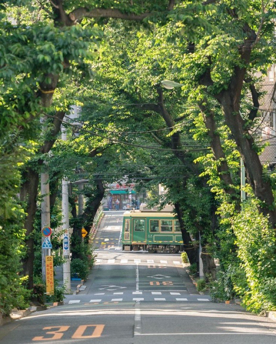 naturehealyou's tweet photo. Japan 🇯🇵 https://t.co/ccfbmogb6e