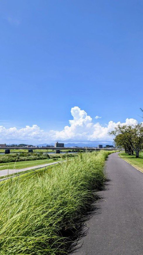 naturehealyou's tweet photo. Japan 🇯🇵 https://t.co/ccfbmogb6e
