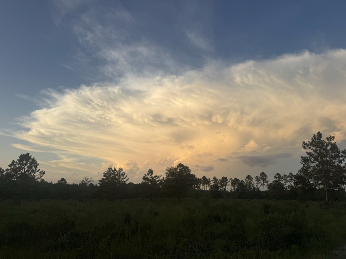 JenLovesTheSky's tweet photo. Thunderstorm in Ponce de Leon, Fl as seen from Freeport. 

#flwx @spann @ChrisSmithPW @rzweather @MetDavidPaul @StormHour @ThePhotoHour @JimCantore https://t.co/3QETFZmzgM