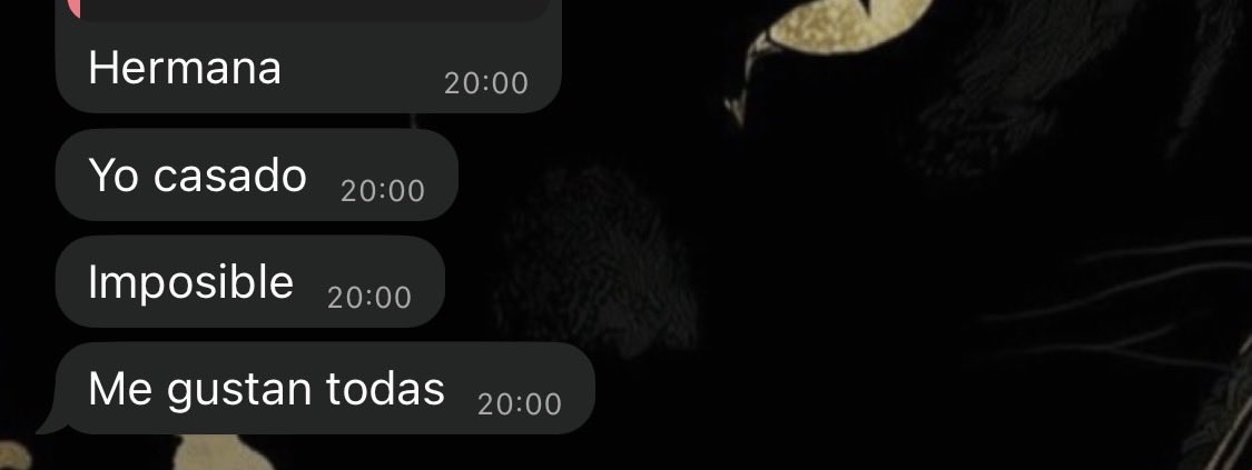 fauchininix's tweet photo. quién será la dichosa que algún día le vuele el bocho a mi hermano nacho paco https://t.co/K0azixlGc9