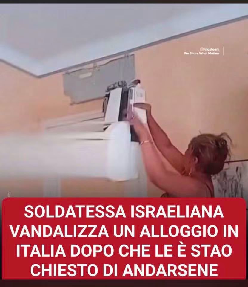 angel_nowar's tweet photo. Una militare israeliana viaggiava  in Italia utilizzando un passaporto straniero.
Il proprietario della struttura ricettiva che l’ospitava, dopo aver scoperto la reale identità e l'occupazione della donna, le avrebbe chiesto di abbandonare l'alloggio.
Prima di lasciare la ⏬ https://t.co/3TMxGWLibr