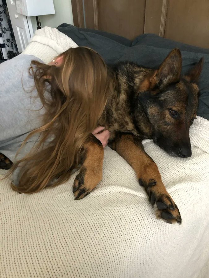 K9Danielle050's tweet photo. Daily Reminder🐶🫶❤️ 

Life is better with dogs 🫶🐾
#WontLookWednesday #dogs #unitedstates https://t.co/jAOsDDJytA