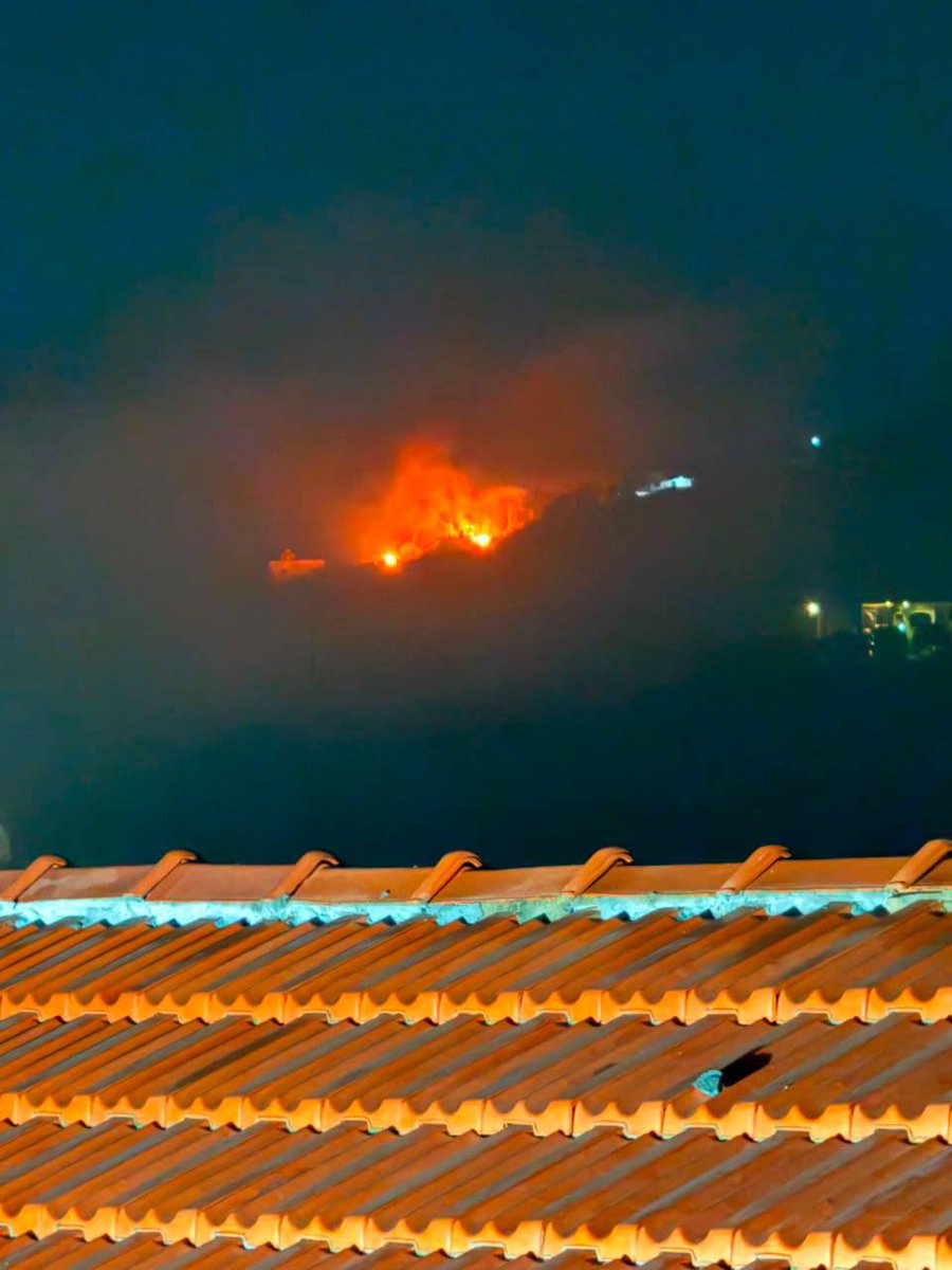 QudsNen's tweet photo. Israeli occupation forces detonate displaced Lebanese civilians' homes in the town of Hadatha, southern Lebanon. https://t.co/ckilytCfT2