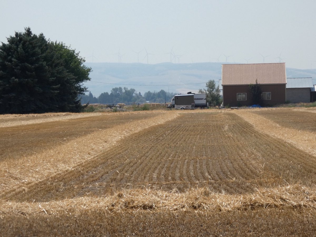 ChaucerGal's tweet photo. Smoky on the hills, but hay being harvested. https://t.co/qUIP4u3FMq