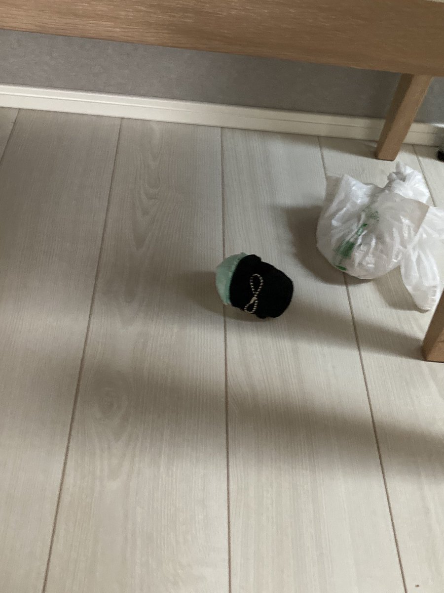 relaxcafetime's tweet photo. おはようございます☀
これﾑｯｽﾒに引きずり回された結果テーブルの下に置き去りにされたもち膝。この後無事保護しました https://t.co/OlBsOAMd2C