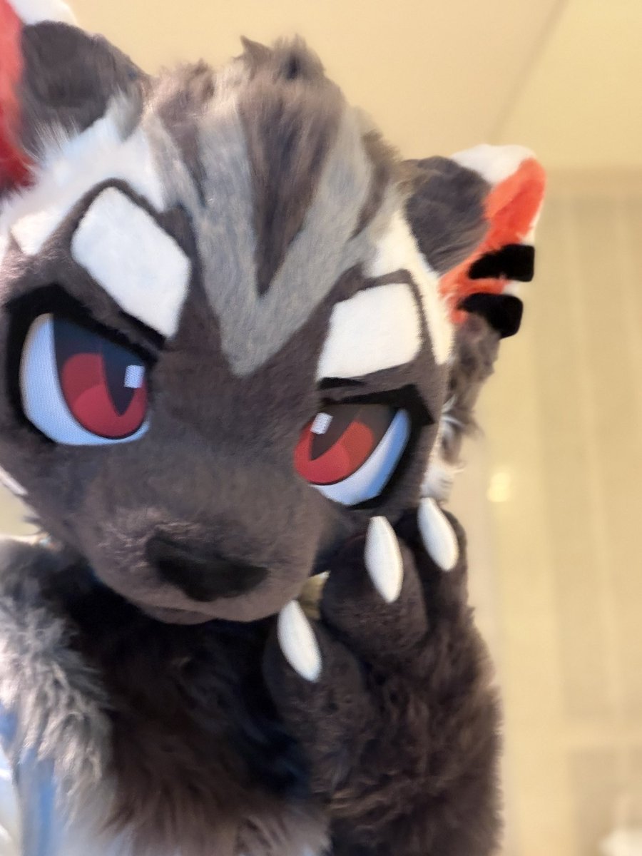 AzizZ1118's tweet photo. 7.25bj
见到了靴猫老师！
#FursuitsEveryday #furry #fursuit https://t.co/1ri9VS2YMM