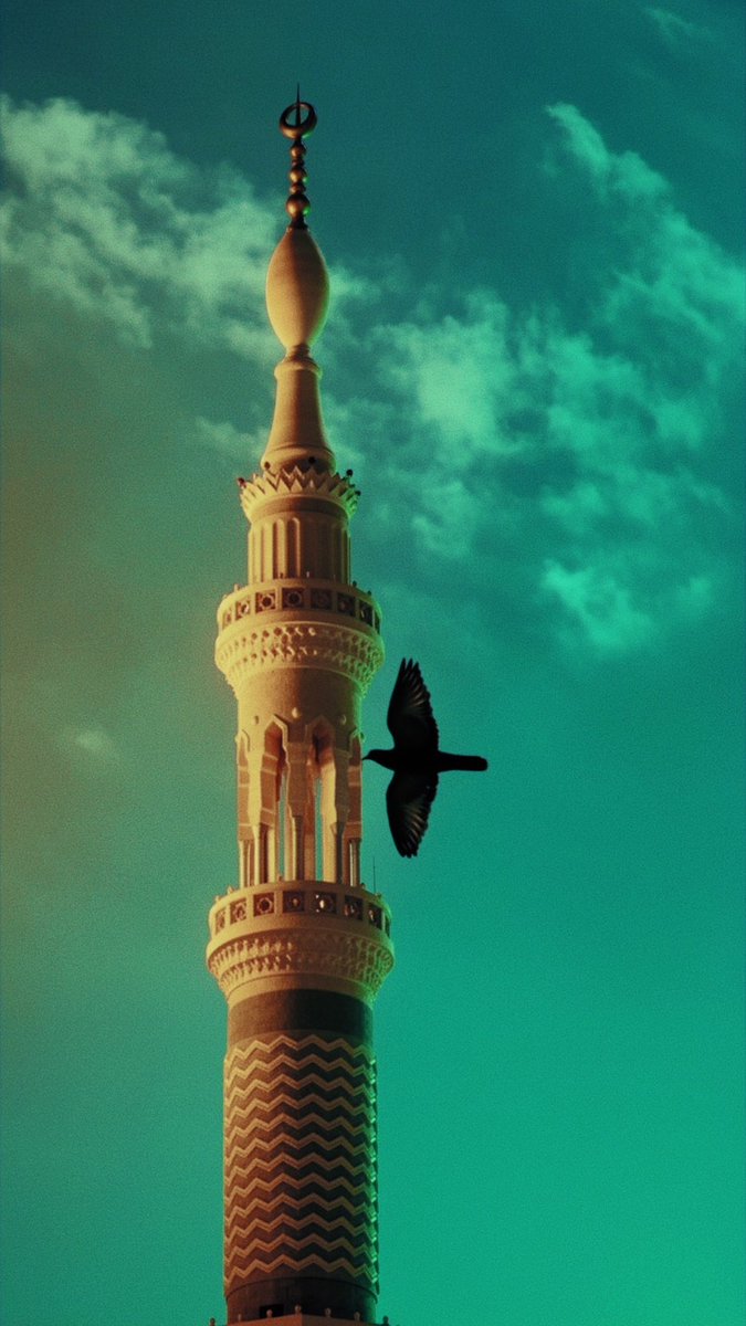 saif_Hetary's tweet photo. @aestheticsguyy https://t.co/aLBC3Qhdsv