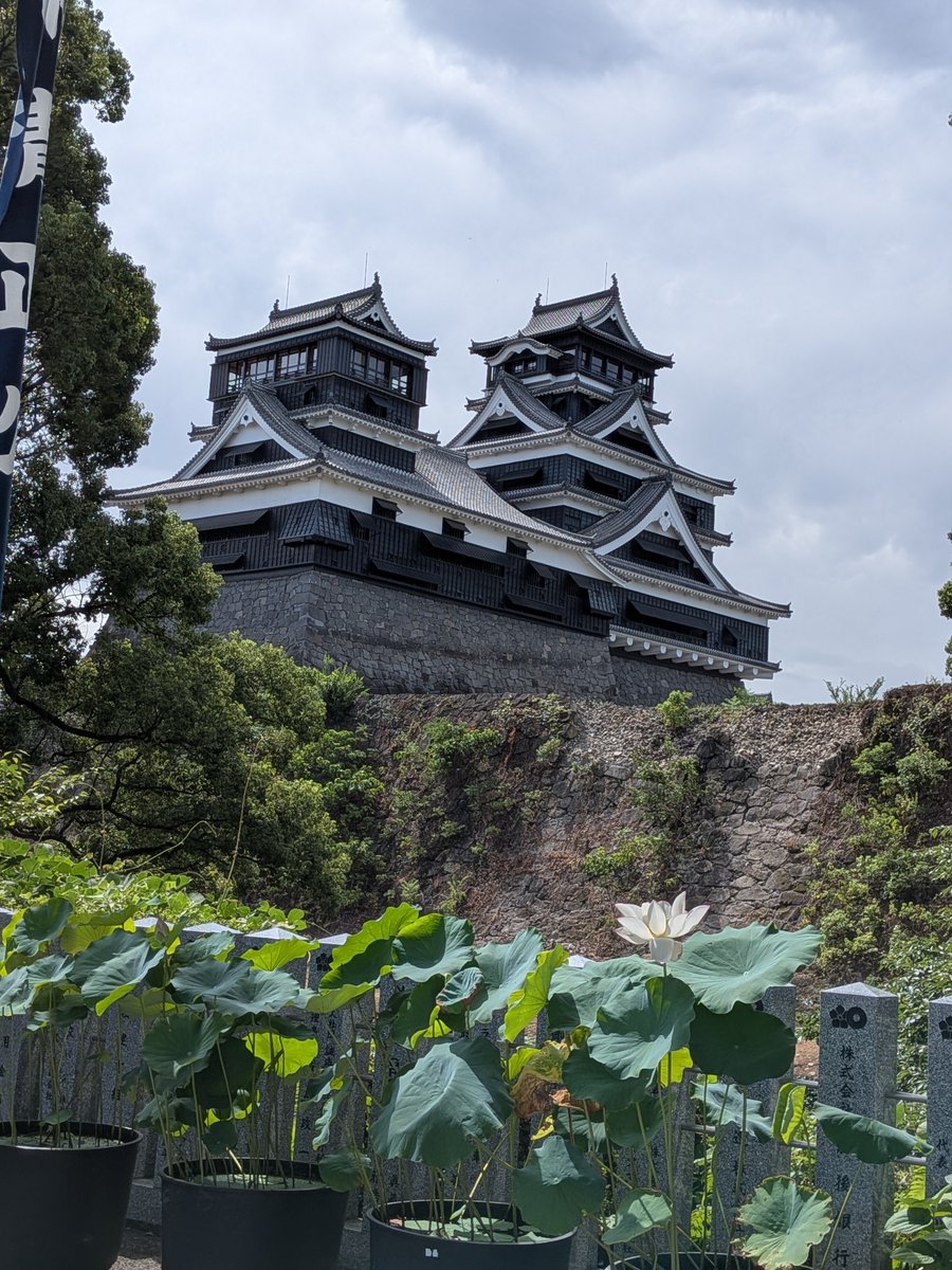 YokatokoGuide's tweet photo. #熊本城
#加藤神社

入れます！
加藤神社に入れるようになりました🙌 https://t.co/3lOrjHHac0
