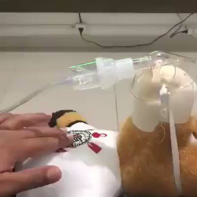 cabravesga's tweet photo. QUE SENTIMENTO DE DEPRESSÃO MEU SENHOR 😭
#SCCPxINT https://t.co/BjMmPpQER0