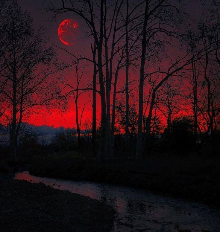 WETHEKINGDQMQ98's tweet photo. And I will show wonders in the heavens and on the earth, blood and fire and columns of smoke.  The sun shall be turned to darkness, and the moon to blood, before the great and awesome day of the Lord comes. 

Joel 2:30-31 https://t.co/2Ee7U2f75r